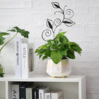 Decorative Metal Plant Trellis for Indoor Potted Plants – Leaf Shape Vine - Image 6