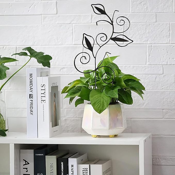Decorative Metal Plant Trellis for Indoor Potted Plants – Leaf Shape Vine - Image 6