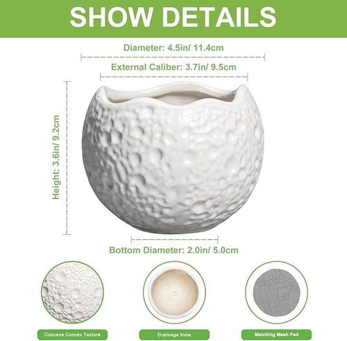 4 inch Plant Pots - Image 2