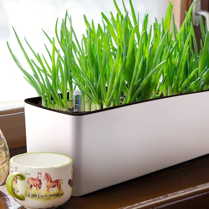 Skelang 2-Pack Self Watering Planter, Rectangle Flower Pot - Image 6