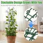 6Pcs Indoor Small Trellis, Trellis - Image 6