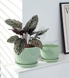Ton Sin Flower Pots, Light Green Ceramic Plant Pots Set of 3, Small Glazed - Image 5
