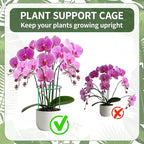 12 Pack Plant Support Stakes Sets - Image 2