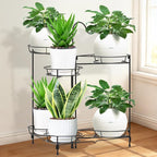 Heavy Duty Metal Plant Stand, Indoor Outdoor Plant Shelf & Rack - Image 2