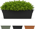 Bloem Dura Cotta Window Box Planter: 30" by Bloem