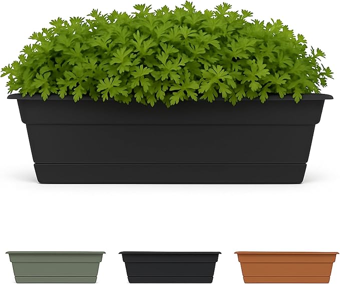 Bloem Dura Cotta Window Box Planter: 30" by Bloem