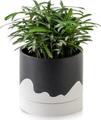 Nihow Ceramic Plant Pot: 6 Inch Planter by Nihow