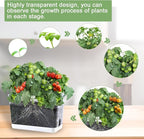 Self Watering Planters - Image 5