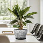 Ceramic Planter Pot - Image 8