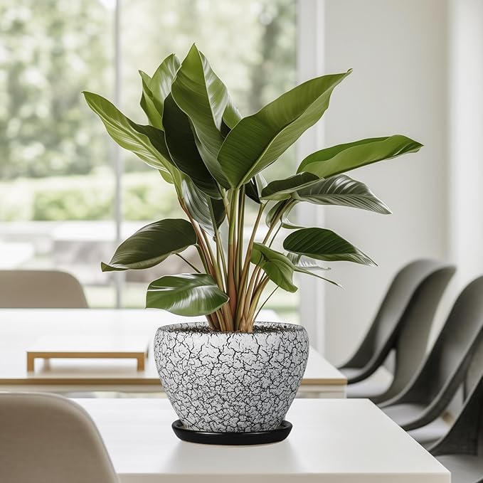Ceramic Planter Pot - Image 8
