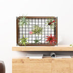 Plant Hanger Indoor Outdoor - Image 7