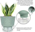 2024 Upgraded 5 Pack 6-Inch Self-Watering Planter Pots - Image 5