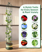 2PCS Garden Trellis for Climbing Plants, 6.2FT Rustproof Metal Pipe - Image 5
