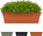 Bloem Dura Cotta 18" Terra Cotta Resin Rectangle Window Box Planter by Bloem