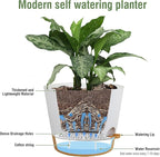 12 inch Large Self Watering Pots - Image 4
