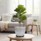 Ceraimc Plant Pot - Image 7