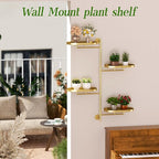 Window Rotating Plant Stand Shelf Indoor Gold Metal Floating Shelves 4-Tier - Image 7