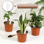 200 Pack 6 Inch Plastic Nursery Pots - Image 4