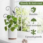 Indoor Plant Trellis for Climbing Plants, Stackable Garden Trellis for Potted - Image 2