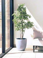 Kante 14 Inch Dia Round Concrete Planter, Indoor Outdoor Large Plant Pot - Image 6