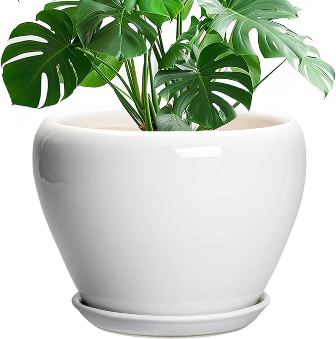 Ceramic Pot for Plants by Ceramicfor