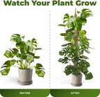 2 Pack 48'' Bendable Moss Pole Monstera Plant Support - Image 5