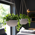LA Jolie Muse Hanging Planters for Indoor Plants - Image 6