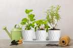 4 Inch Plant Pots, 6 Pack Indoor Flower Pots, Planters - Image 5
