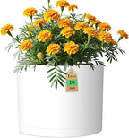 10 Inch Round Plastic Plant Pot by WSMKSZ