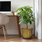 12 Inch Plant Pot - Image 3