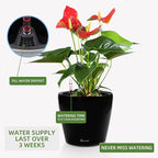 Dexceder 9x8 Inches High Gloss Self Watering Planter Indoor Outdoor, Inner Pot - Image 5