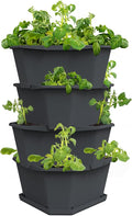 BUZZY Seeds Starter Stackable Vertical Planter – 4-Level Raised Garden Tower by BUZZY