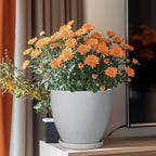 Ceramic Pots for Plants - Image 2