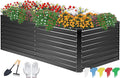 DTIG Galvanized Raised Garden Bed by DTIG