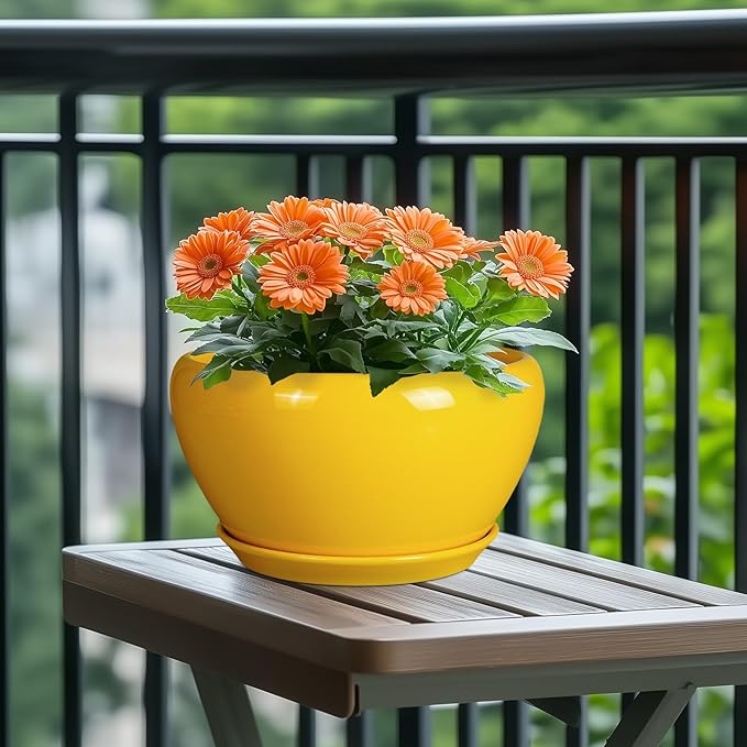 Indoor Planter 11 Inch - Image 4