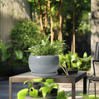 SQOWL 10 Inch Plant Pot - Image 5