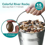 15 lbs River Rocks, 1-1 1/2 inch Plant Rocks - Image 2