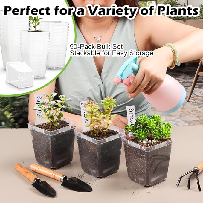 3.3 Inch Clear Nursery Pots - Image 7