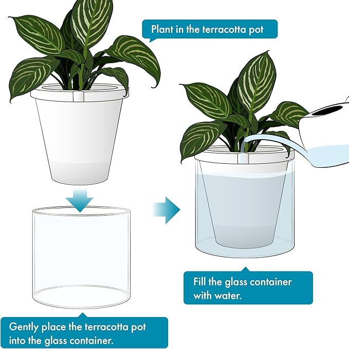 D'vine Dev 10 Inch Design Self Watering Planter - Image 7