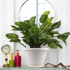 Plastic Flower Pots Planters for Indoor Plants, 4 Pack 16 Inch White Plant Pots - Image 6