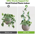 3 Pack U-Shaped Colorful Acrylic Plant Trellis - Image 2
