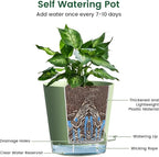 6 inch Self Watering Pots for Indoor Outdoor Plants, 6 Pack Flower Plant Pots - Image 4