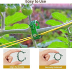 Plant Support Clips, Plastic Trellis Clips, Grape Vine Tomato Vine Vegetables - Image 4