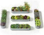 5-Pack 18” Tall Galvanized Raised Garden Beds – Everyday Kitchen Garden Layout by Annoell