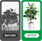 2 Pcs Plant Trellis Indoor, Plant Support - Image 5