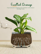 LE TAUCI Plant Pots for Indoor Plants, 4.1+5.1+6.5 inch, Ceramic Planters - Image 3