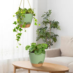 ZMTECH 10 Inch Hanging Planters - Image 5