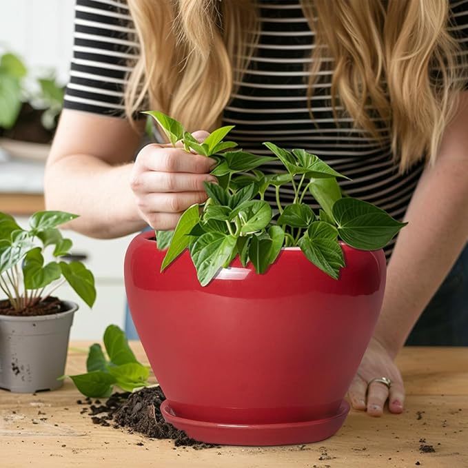 Ceramic Planter for Indoor Plants 8 Inch - Image 5