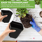 Square Nursery pots 4 Inches 60Pcs, Seedling Plastic Seeds propogation Growing - Image 2