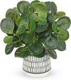 12" Artificial Plants Indoor Small Fake Plant in Ceramic Pot, Silk Plants by VillaComo